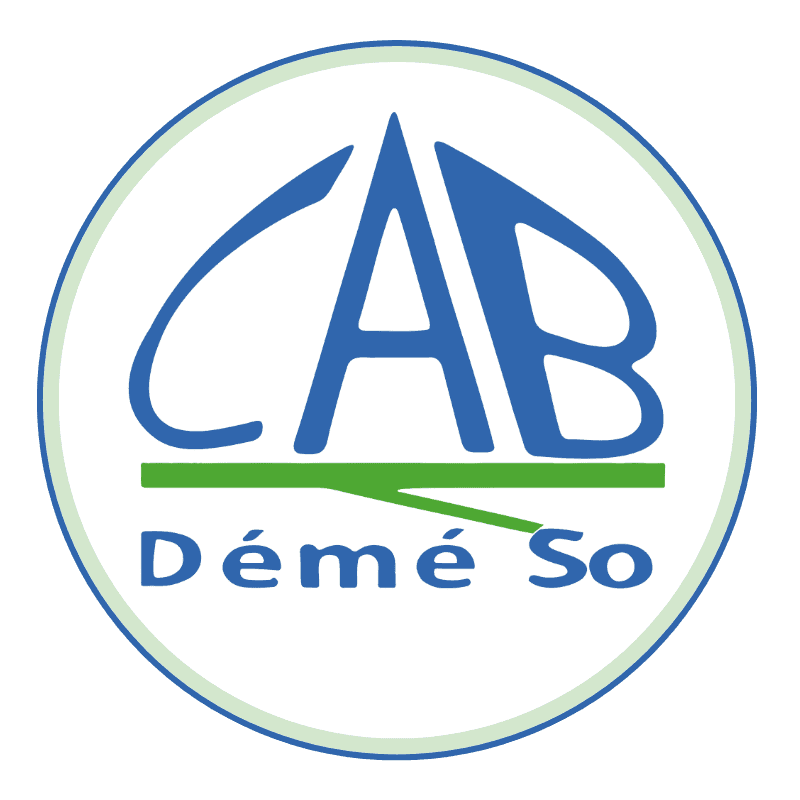 CAB Dèmèso Logo
